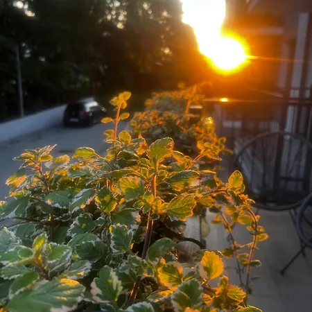 アパート Dolce マルボルク